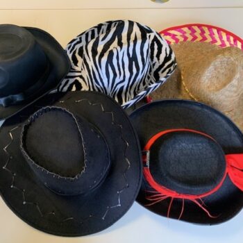 Lot 5 chapeaux