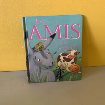 Amis