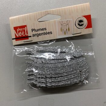 plumes argentes carton paillettes