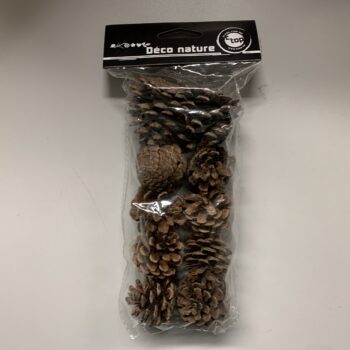 paquet 10 petites pomme de pain