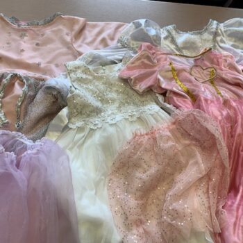 lot 4 robes princesse 2 jupes